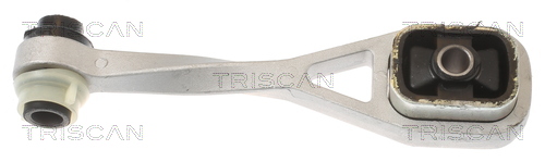 TRISCAN 8505 25108 Lagerung, Motor