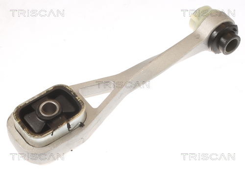 TRISCAN 8505 25108 Lagerung, Motor