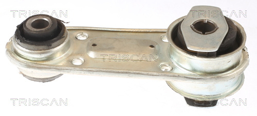 TRISCAN 8505 25109 Lagerung, Motor