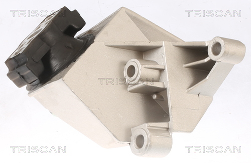 TRISCAN 8505 25110 Lagerung, Motor