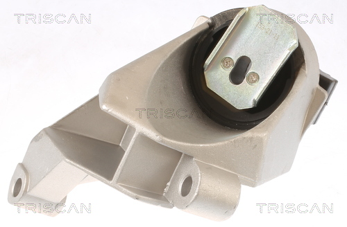 TRISCAN 8505 25110 Lagerung, Motor
