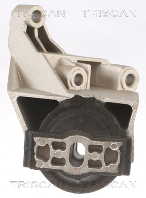 TRISCAN 8505 25110 Lagerung, Motor