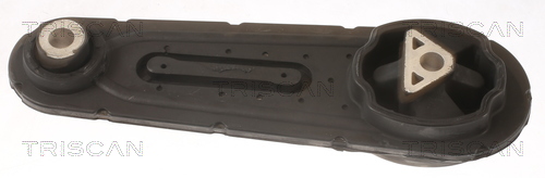 TRISCAN 8505 25112 Lagerung, Motor