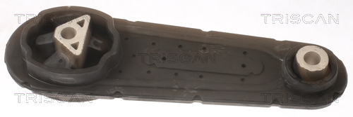 TRISCAN 8505 25112 Lagerung, Motor