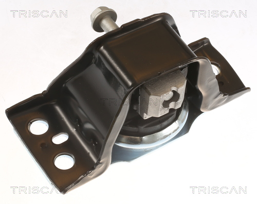TRISCAN 8505 25113 Lagerung, Motor