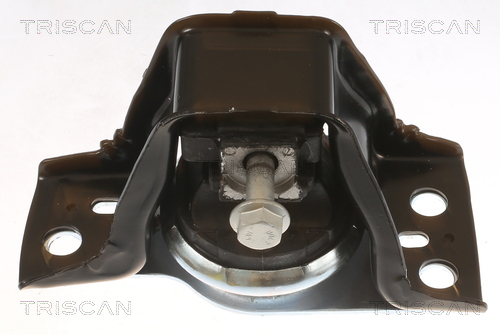 TRISCAN 8505 25113 Lagerung, Motor
