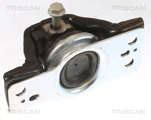 TRISCAN 8505 25113 Lagerung, Motor