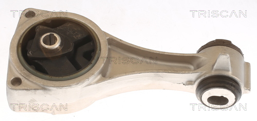 TRISCAN 8505 25114 Lagerung, Motor