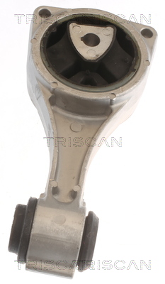 TRISCAN 8505 25114 Lagerung, Motor