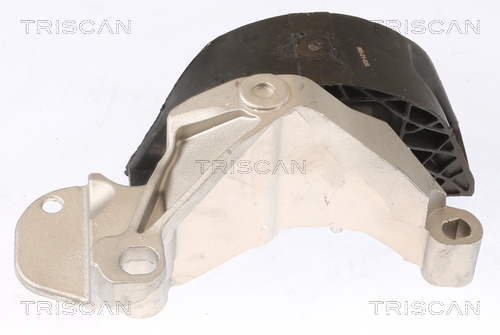 TRISCAN 8505 25115 Lagerung, Motor