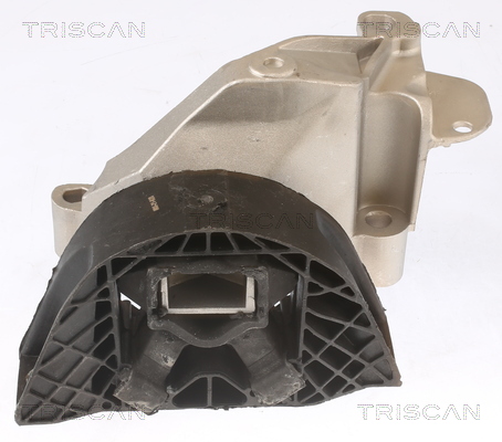 TRISCAN 8505 25115 Lagerung, Motor