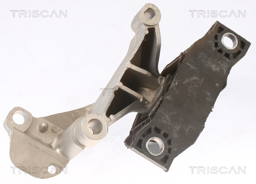 TRISCAN 8505 25115 Lagerung, Motor