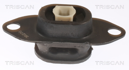 TRISCAN 8505 25116 Lagerung, Motor