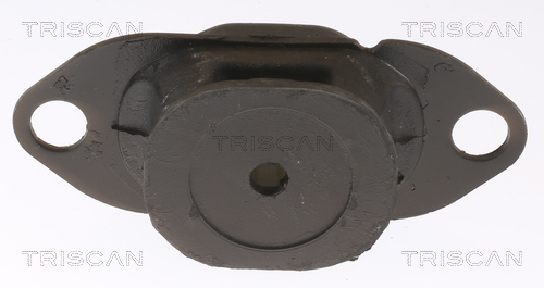 TRISCAN 8505 25116 Lagerung, Motor