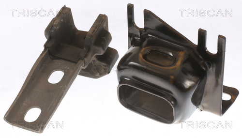 TRISCAN 8505 25117 Lagerung, Motor