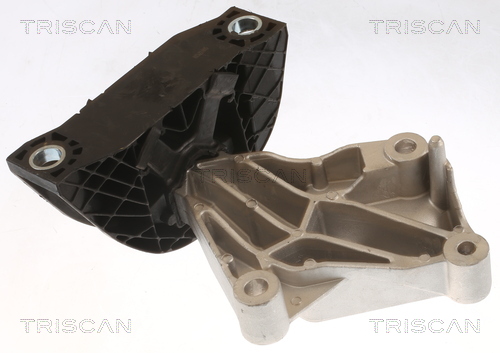 TRISCAN 8505 25118 Lagerung, Motor