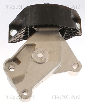 TRISCAN 8505 25118 Lagerung, Motor