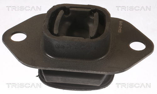 TRISCAN 8505 25119 Lagerung, Motor