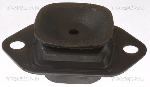 TRISCAN 8505 25119 Lagerung, Motor