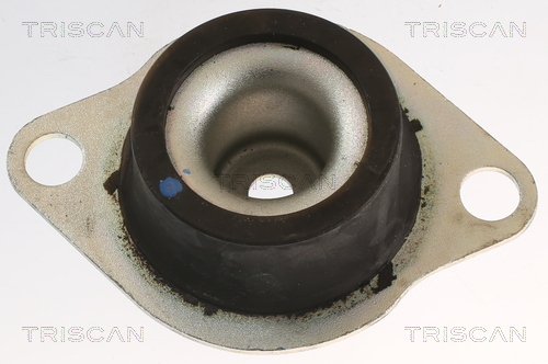 TRISCAN 8505 25120 Lagerung, Motor