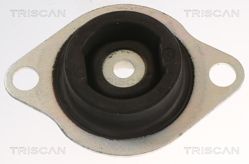 TRISCAN 8505 25120 Lagerung, Motor