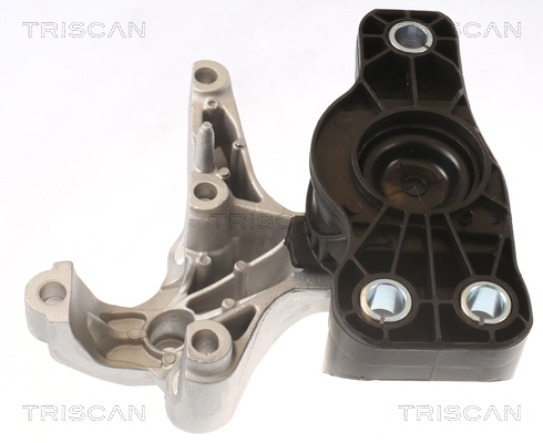 TRISCAN 8505 25121 Lagerung, Motor