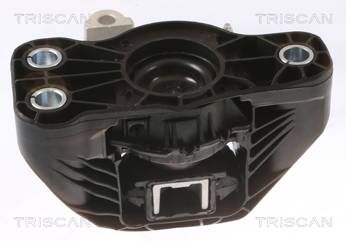 TRISCAN 8505 25121 Lagerung, Motor