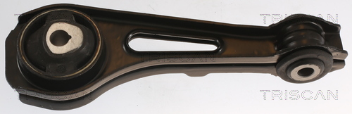 TRISCAN 8505 25122 Lagerung, Motor