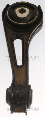 TRISCAN 8505 25122 Lagerung, Motor