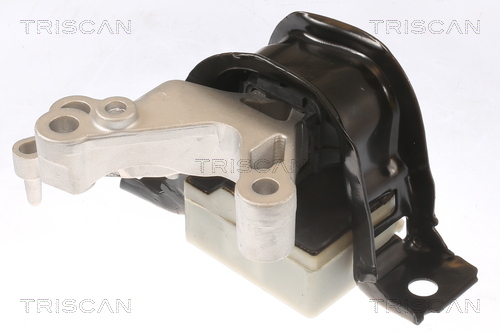 TRISCAN 8505 25124 Lagerung, Motor