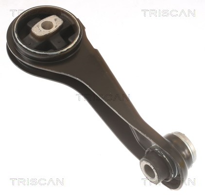 TRISCAN 8505 25125 Lagerung, Motor