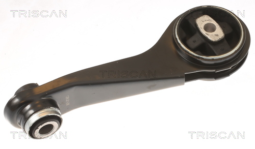 TRISCAN 8505 25125 Lagerung, Motor
