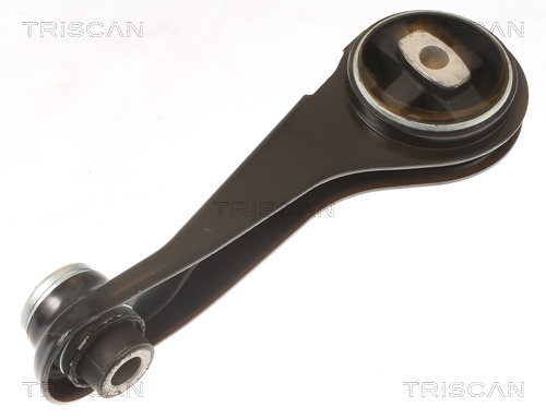 TRISCAN 8505 25125 Lagerung, Motor