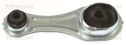 TRISCAN 8505 25126 Lagerung, Motor
