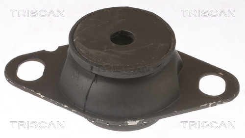 TRISCAN 8505 25127 Lagerung, Motor