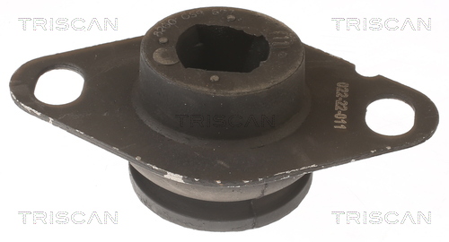 TRISCAN 8505 25127 Lagerung, Motor