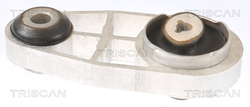 TRISCAN 8505 25128 Lagerung, Motor