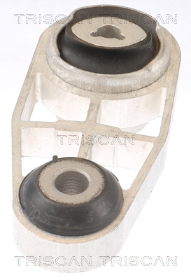 TRISCAN 8505 25128 Lagerung, Motor