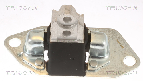 TRISCAN 8505 27100 Lagerung, Motor