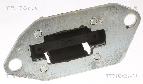 TRISCAN 8505 27100 Lagerung, Motor