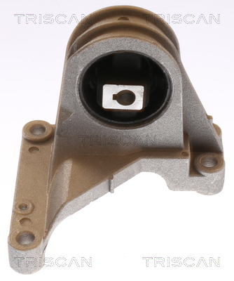 TRISCAN 8505 27101 Lagerung, Motor