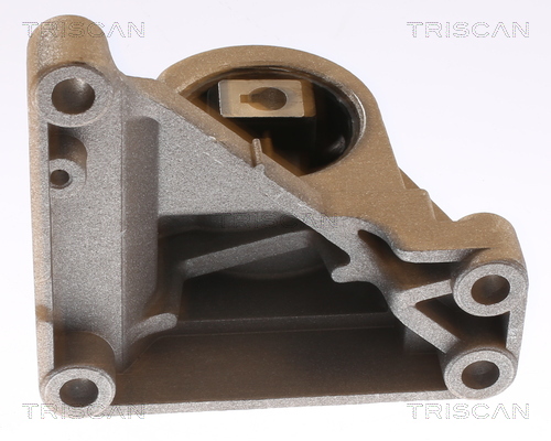 TRISCAN 8505 27101 Lagerung, Motor