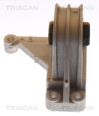 TRISCAN 8505 27101 Lagerung, Motor