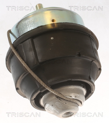 TRISCAN 8505 27102 Lagerung, Motor