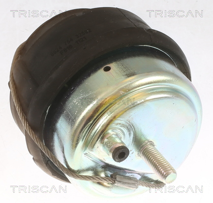 TRISCAN 8505 27102 Lagerung, Motor
