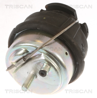 TRISCAN 8505 27103 Lagerung, Motor