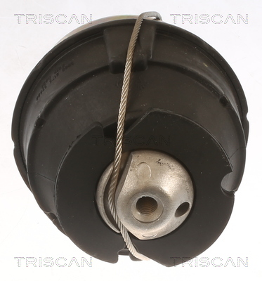 TRISCAN 8505 27103 Lagerung, Motor