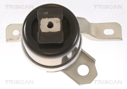 TRISCAN 8505 27104 Lagerung, Motor