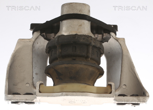TRISCAN 8505 27105 Lagerung, Motor
