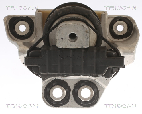 TRISCAN 8505 27105 Lagerung, Motor